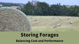 Stored forages to be discussed at workshop