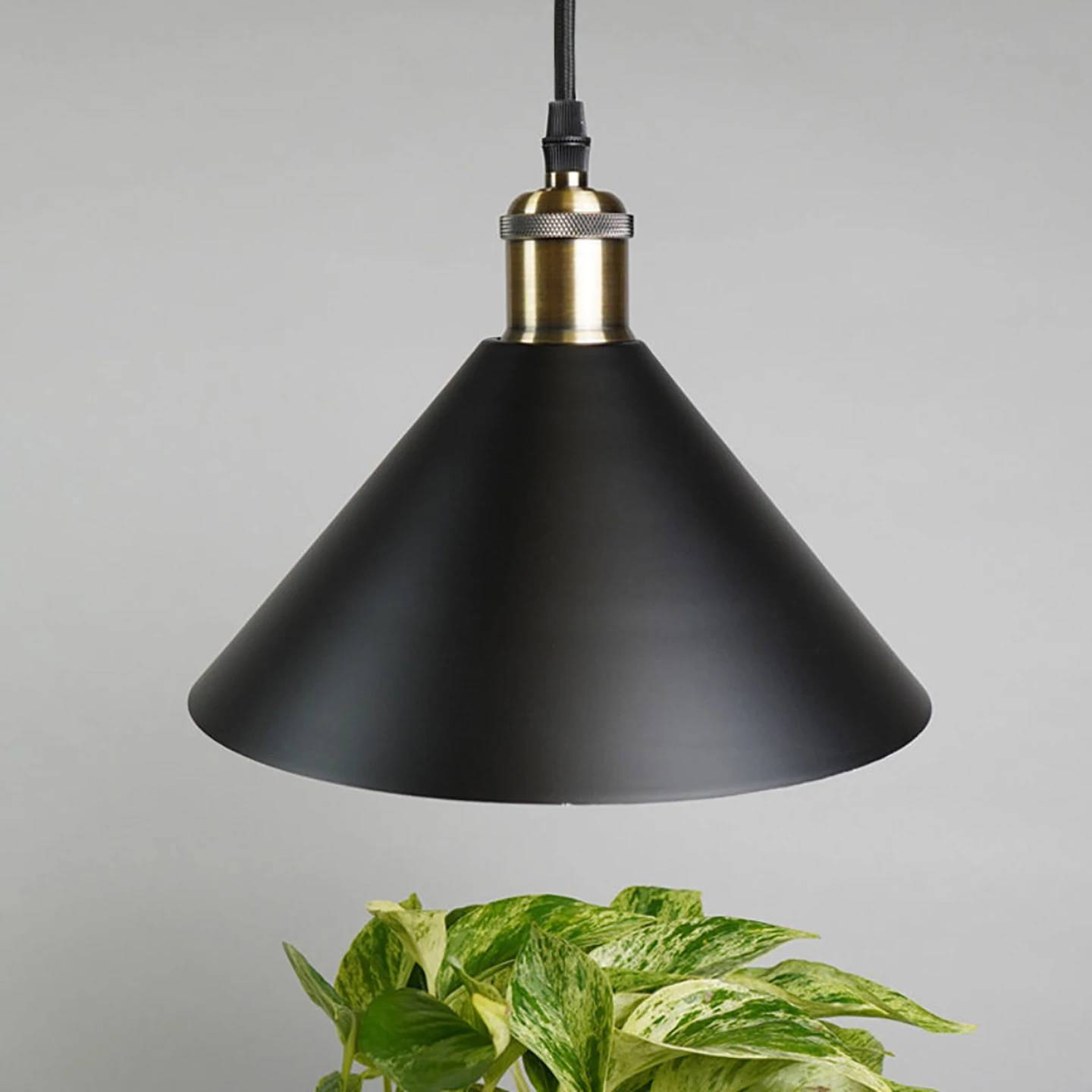 This image provided by Soltech shows a Vita Grow Pendant houseplant grow light, which emits full-spectrum lighting that mimics natural sunlight.