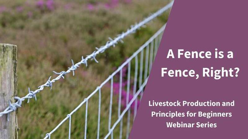 The Livestock Production and Principles for Beginners Webinar Series returns in 2024.