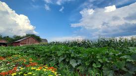 Farm tour highlights Latino agriculture in McHenry County