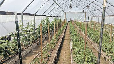 Calendar: High Tunnels Production Field Day at Dixon Springs