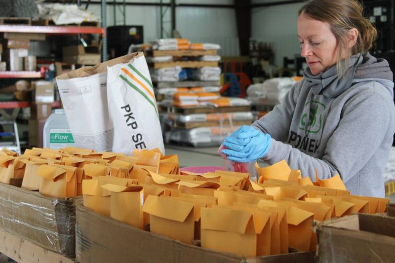 In the seed shed, Kellie Rahn fills envelopes with seed in preparation for planting a test plot. Organizing the seeds prior to going to the field speeds up the process to plant the plot.