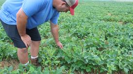 Field trial will evaluate effectiveness of utilizing nitrogen