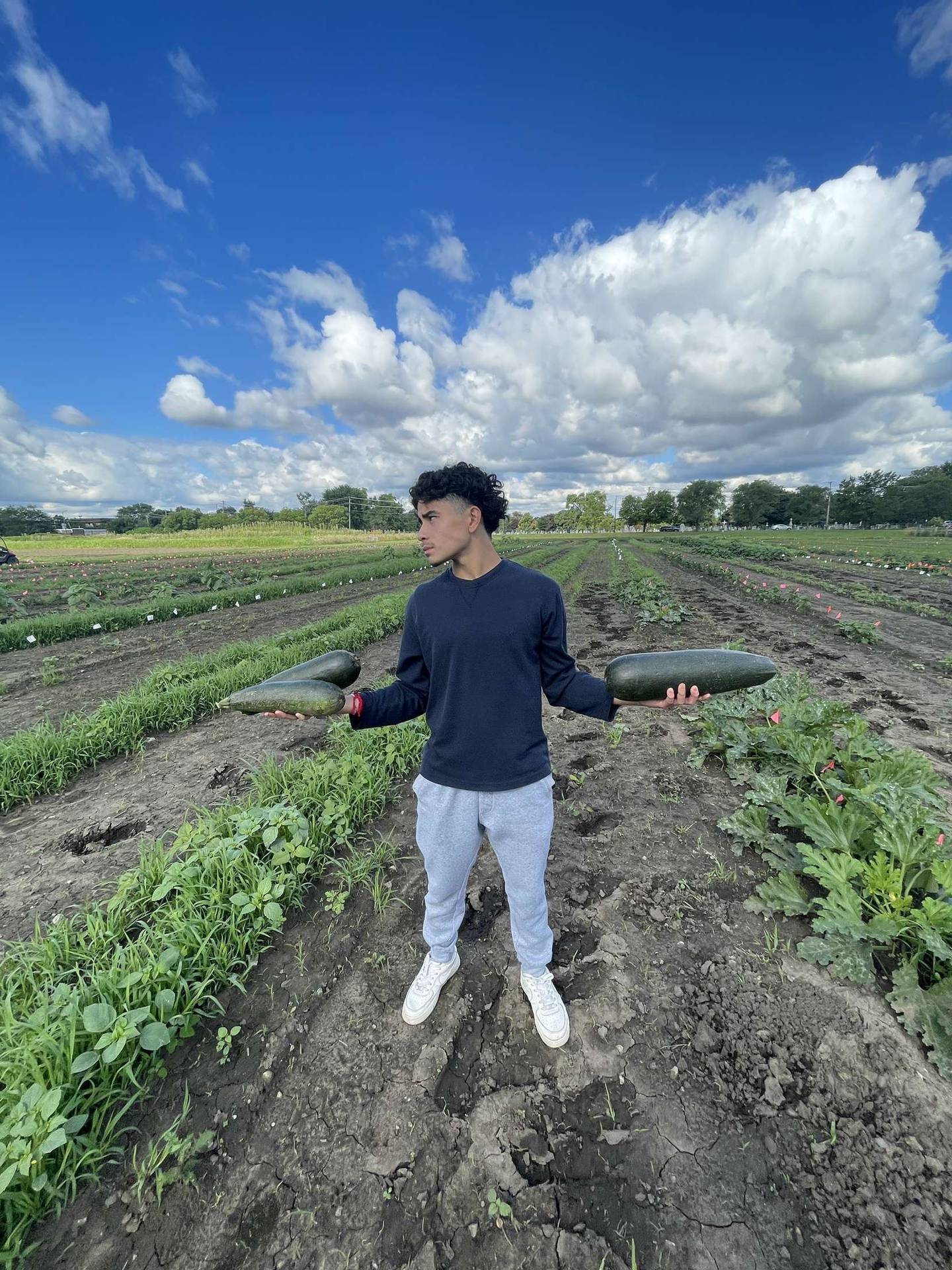 “Harold’s Zucchinis” — Carlos García: “Money bigger than my zucchinis.”