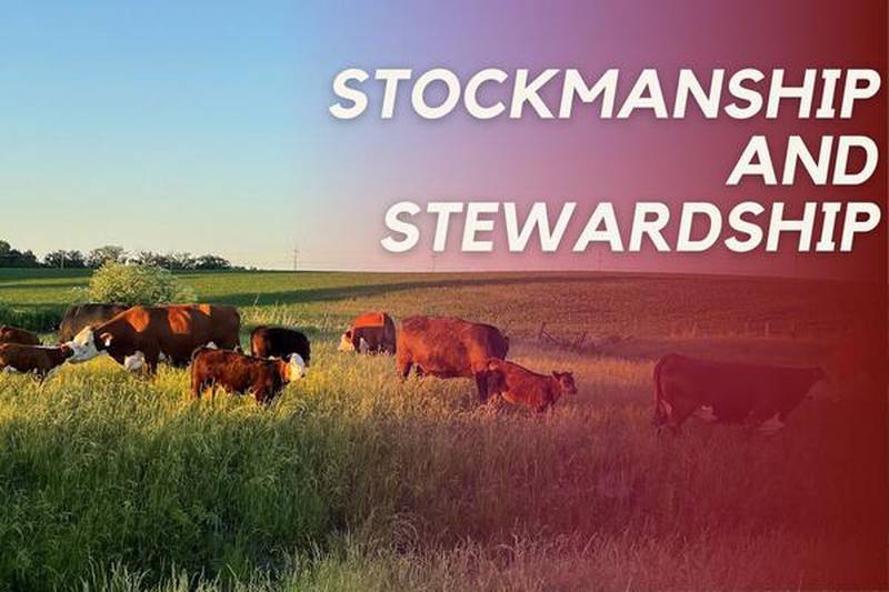 Stockmanship skills will be a major focus of the upcoming Stockmanship and Stewardship workshop Aug. 28-29 at the Grant County Fairgrounds in Lancaster, Wisconsin.