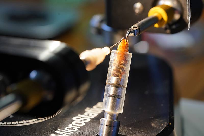 Honeybee instrumental insemination, shown here, is an important technology beekeepers use to artificially select for traits of interest. Researchers at Purdue University and the University of Edinburgh hope to add to the bee breeders’ toolbox by incorporating genomics.