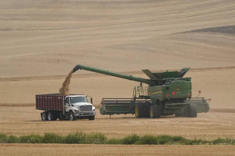 A combine transfers wheat into a grain truck.