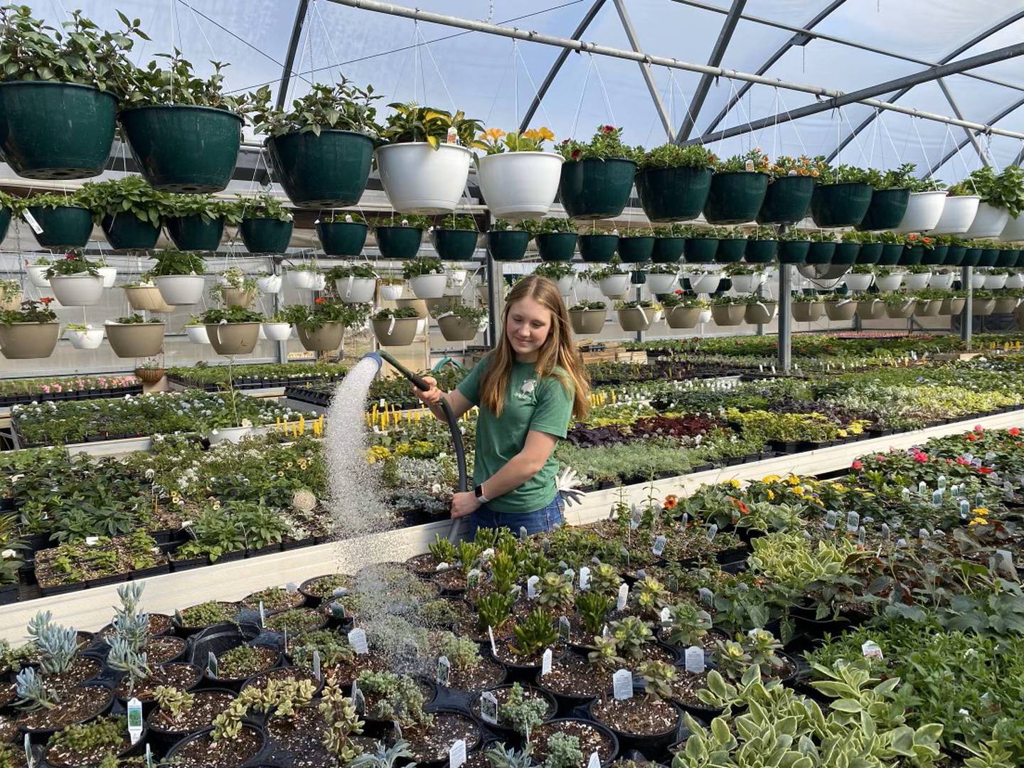 Elizabeth Corrie waters plants at Boehm’s Garden Center. Additional duties include potting annuals, perennials, shrubs and houseplants and assisting customers.
