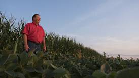 Established: Cover crop farmer cultivates patience