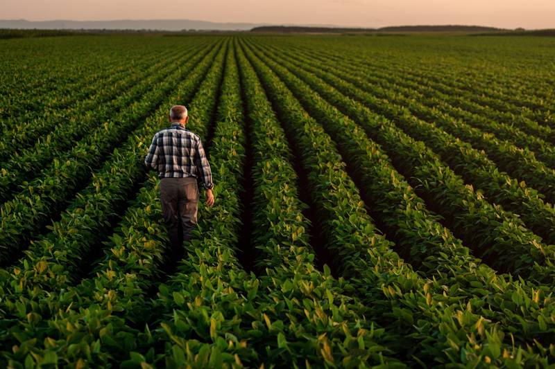 A conservation plan includes tools and resources customized specifically for each farmer, like a land use map, soils information, photos, inventory of resources, economic costs and benefits, schedule of recommended practices, maintenance schedules and engineering notes — all based on the producer’s goals and the resource needs.