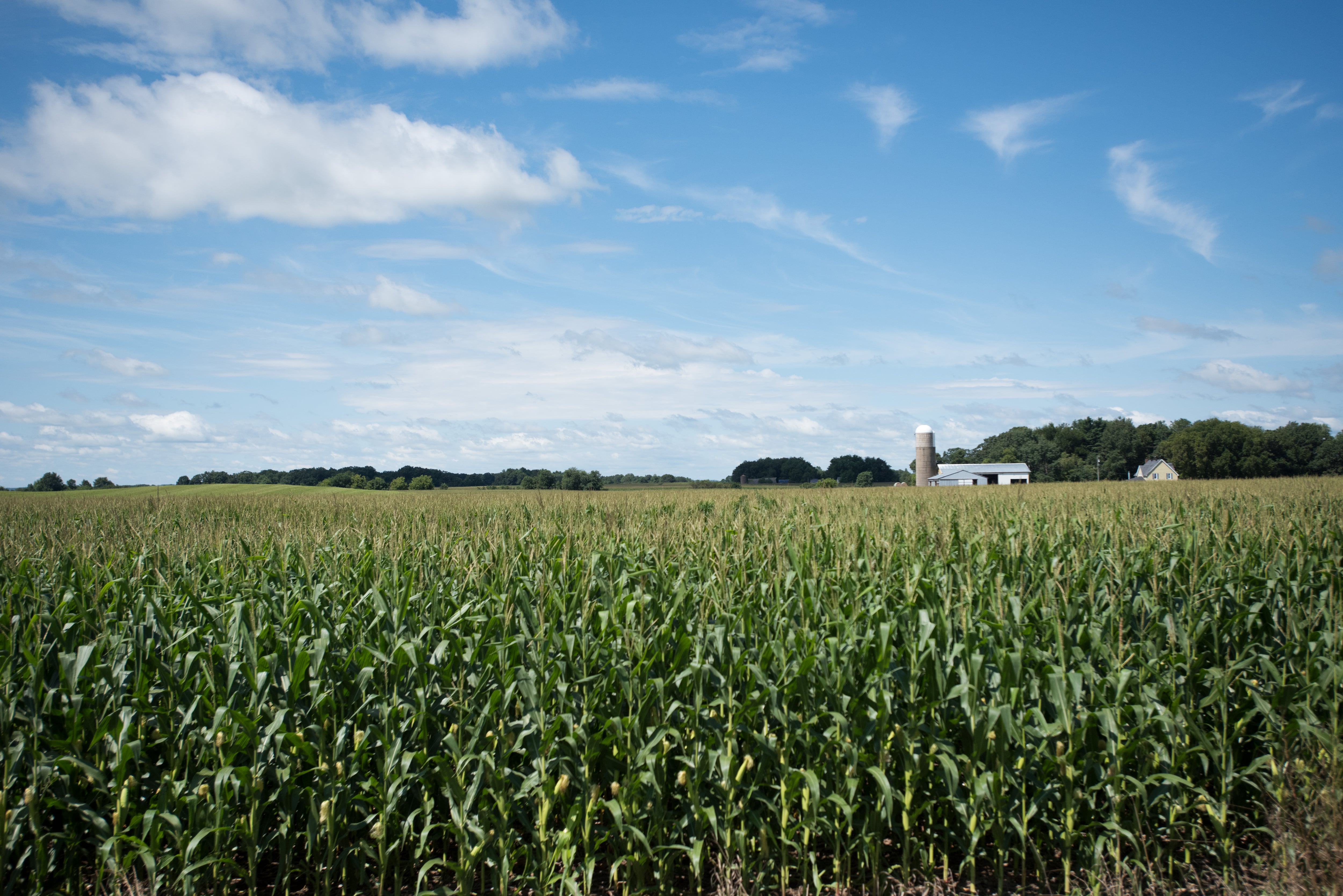 Indiana sees reduction in farmland acres