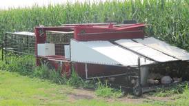 Mobile barn strip system results in top yield