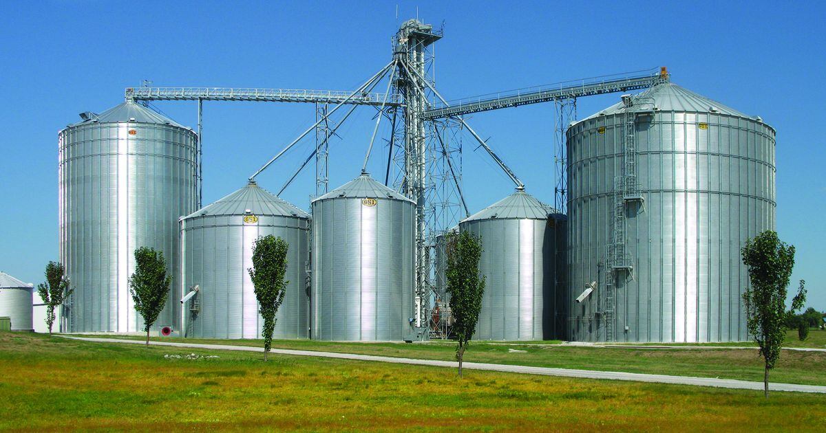 Give your grain system a post-harvest performance review – AgriNews