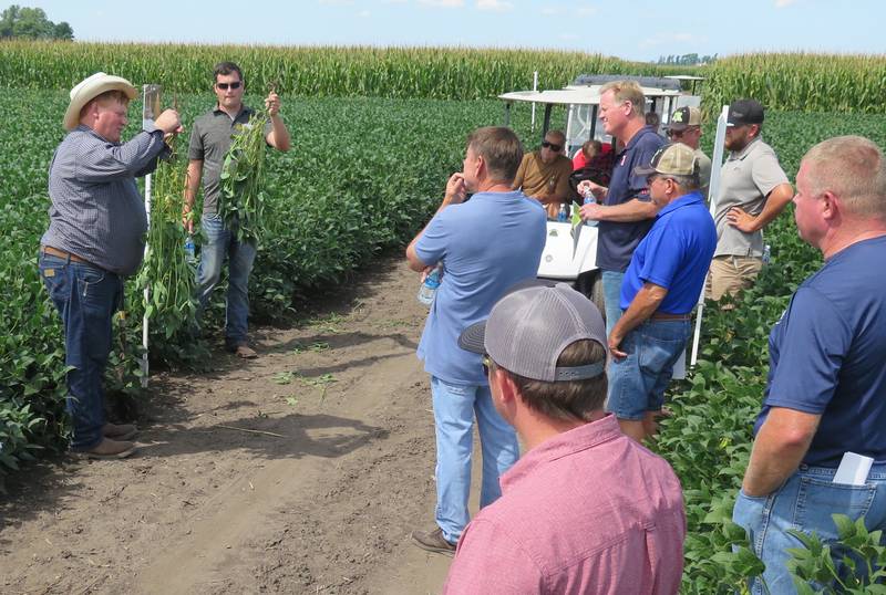 Lynn Hoover (left), owner of Ocean Blue Agronomics and Pro-Soil national field adviser, notes the healthy root system during the recent Yield/Profit Challenge field day. Trent Nicholson, Yield/Profit Challenge owner, holds another example of healthy soybeans in his field trials in Eureka, Illinois.