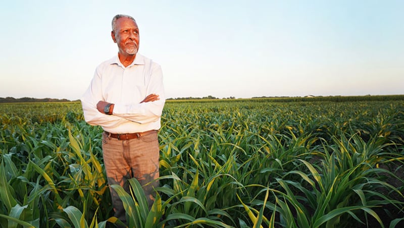 Gebisa Ejeta stands in a sorghum field at Purdue’s ACRE, the Agronomy Center for Research and Education.