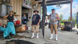 Demand grows for gator meat