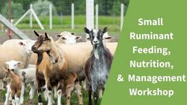 Sheep and goat workshop offered