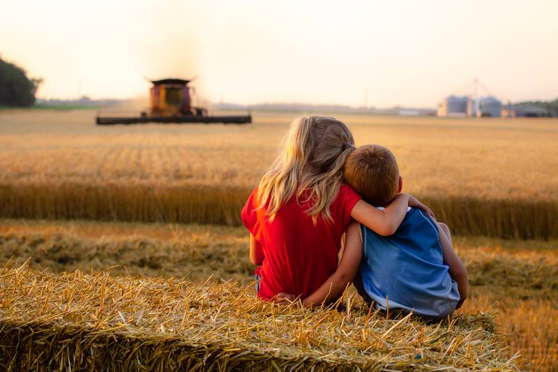 Two children watch as their family harvests wheat on the Fourth of July. The photographer, Marie Kohlhagen, won first place in the 2023 INFB Photo Contest.