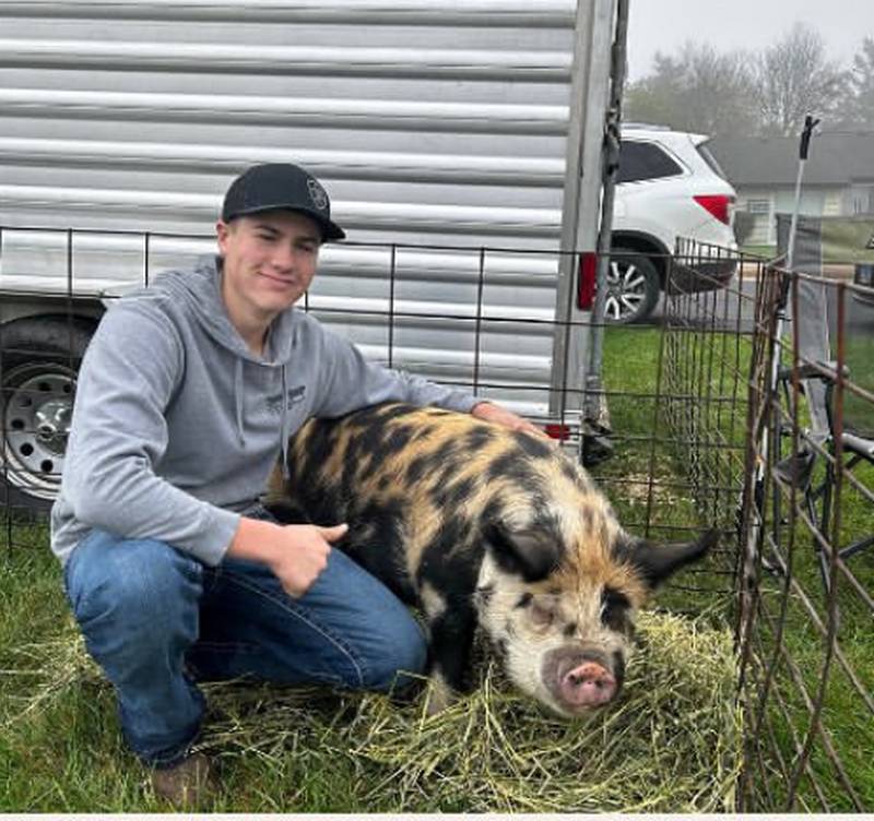 Bruce Gehrke raises pigs, cattle and laying hens for his FFA project that resulted in his District 1 Star Farmer honor.