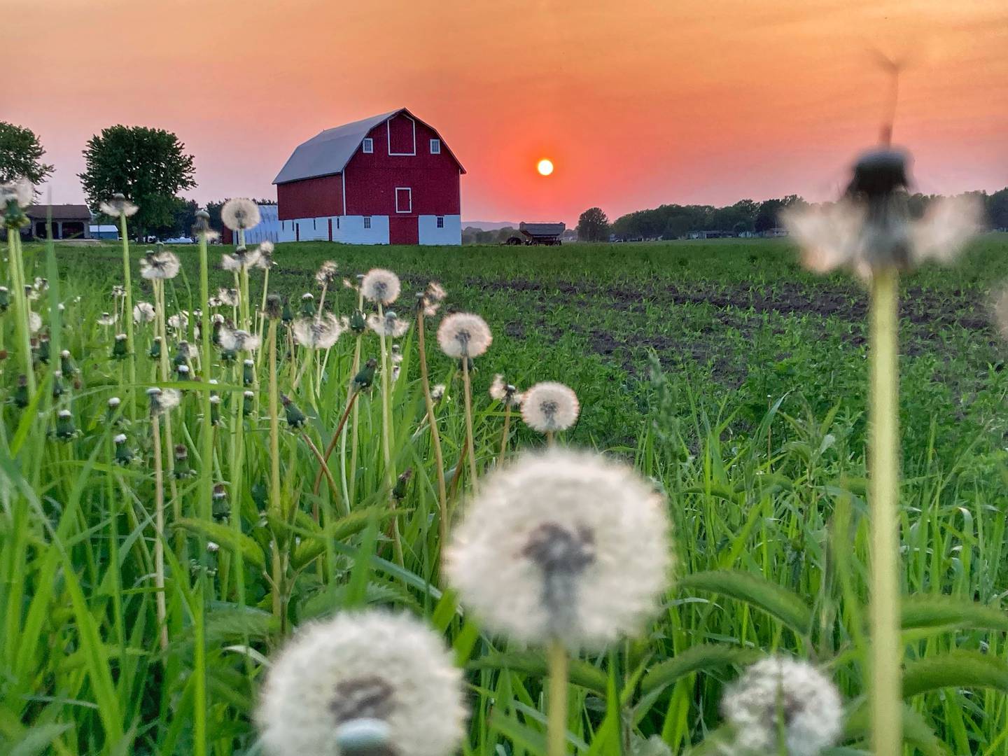 “Red Barn Sunset” — Katie Weisbecker: “Something about a red barn and a sunset that catches your eye.”