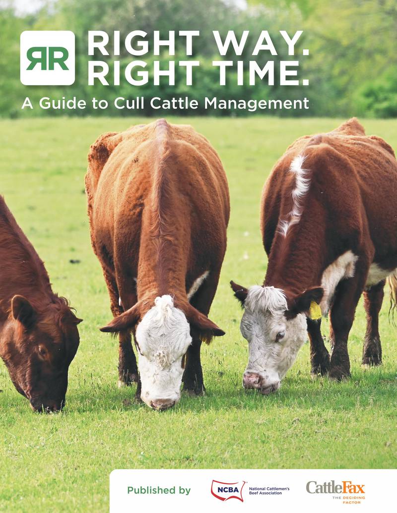 “Right Way. Right Time. — A Guide to Cull Cattle Management” is now available at www.ncba.org.