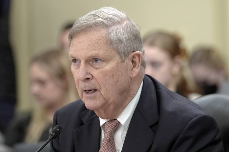 Secretary of Agriculture Tom Vilsack  testifies during a Senate Agriculture, Nutrition and Forestry oversight hearing on the Department of Agriculture on Capitol Hill in February 2024 in Washington.