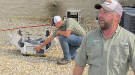 Drone-in-a-box crop scouting trials at PTI