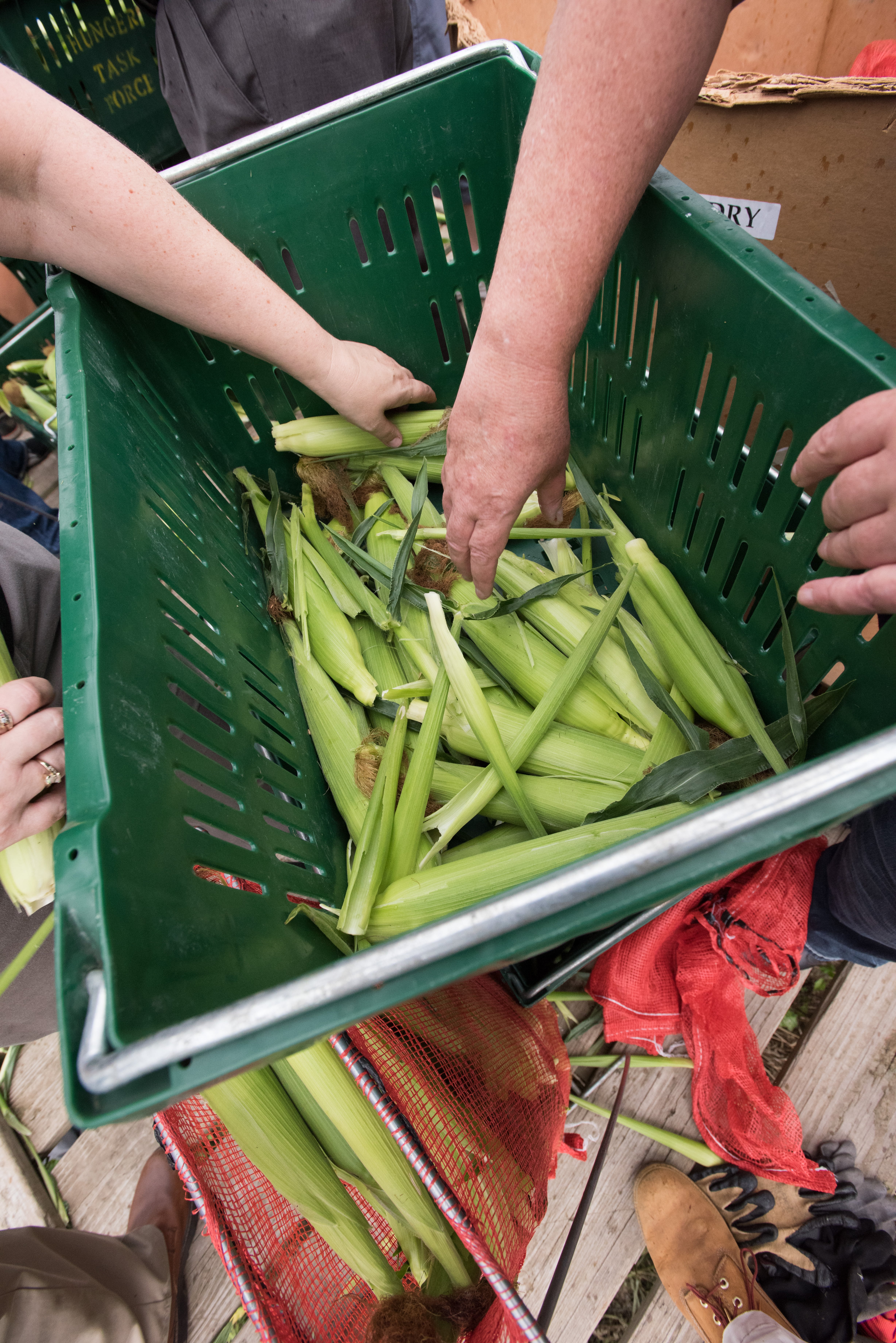 The Indiana State Department of Agriculture announced $2 million in funding to Indiana food banks.