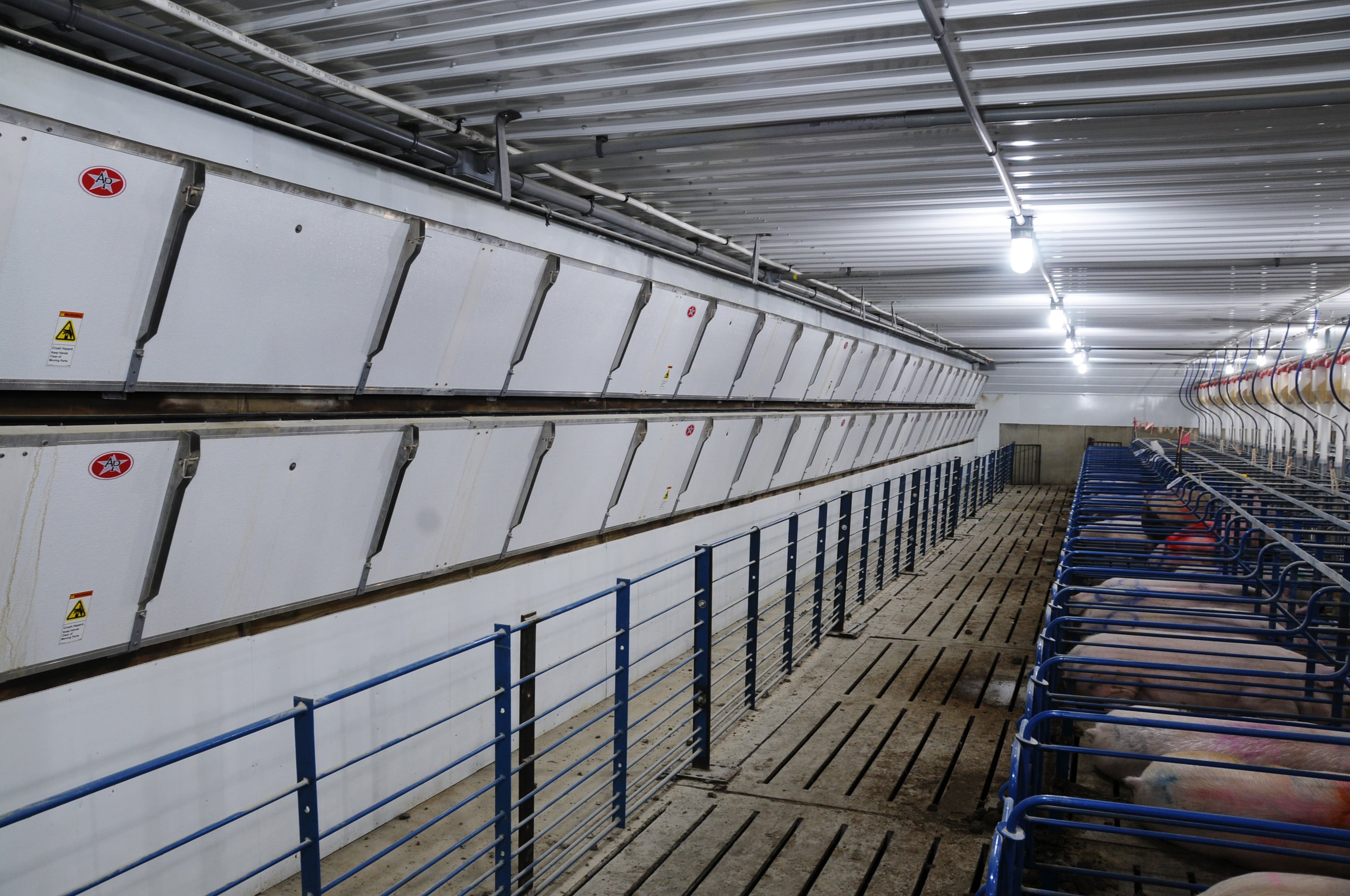 Plan ventilation system upfront for successful swine barn project