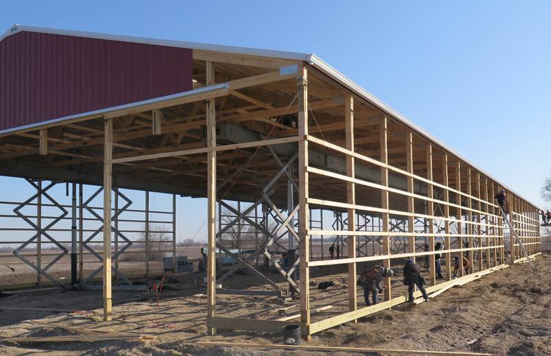 Within an hour after the roof raising began, the pole barn was set in place. Everett Hauert will use the barn for his grass-fed Angus, as well as hay and equipment storage.