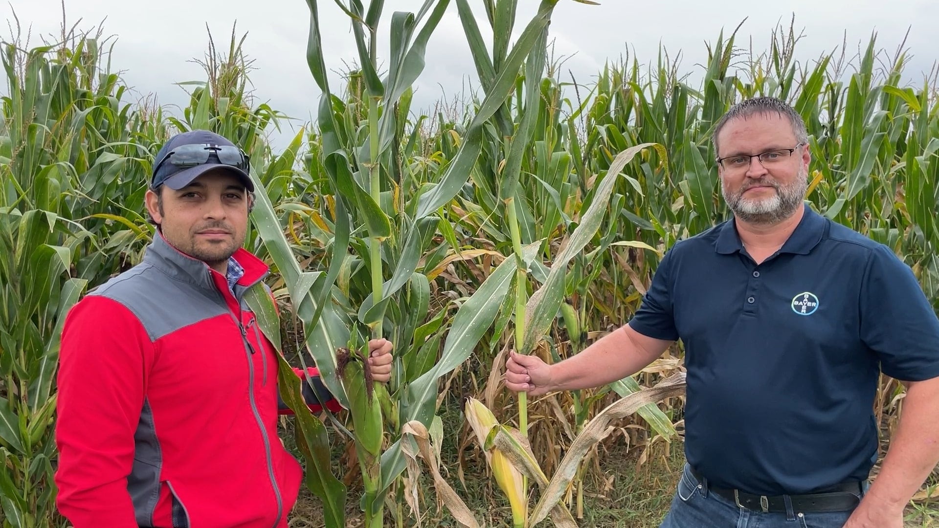 This test plot has been inoculated with tar spot by Bayer Crop Science to help develop new DEKALB and Channel corn products with enhanced tolerance to the disease. Participating in the research are Bayer market development manager Christian Heredia (left) and DEKALB technical agronomist Jim Donnelly.