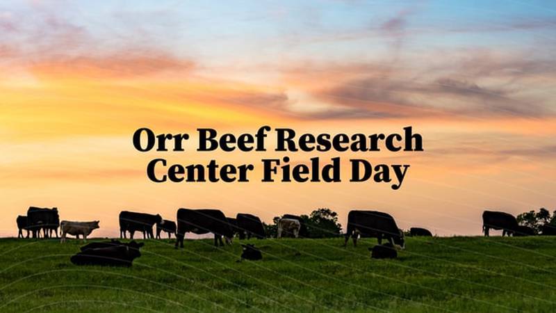 Staying up to date with industry trends can help beef cattle herds thrive.