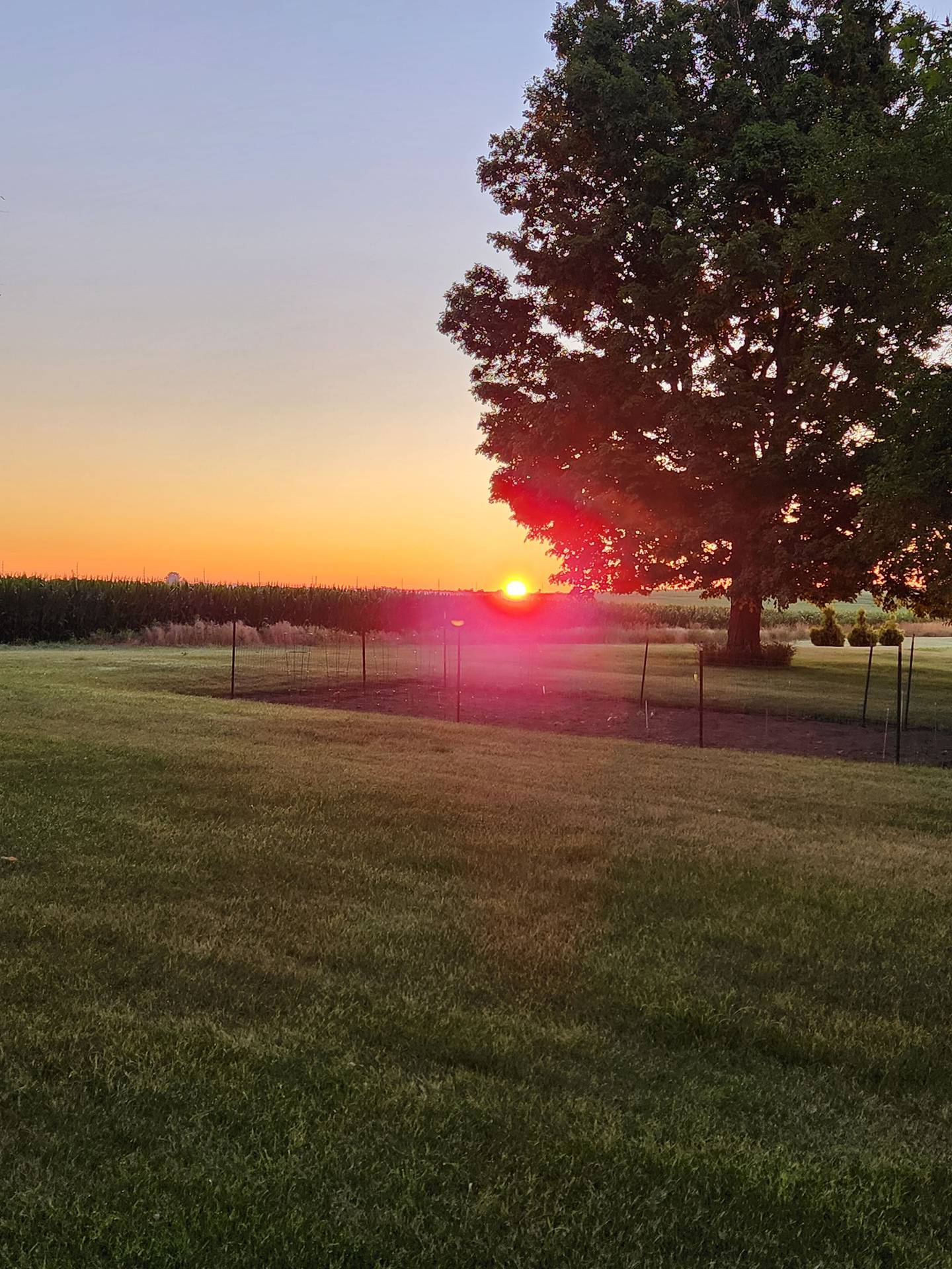 “Beautiful Monday Morning” — Tim Blum: “Sun rising on our DeKalb County farm.”