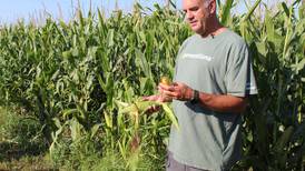 Converted air seeder efficiently plants cover crops