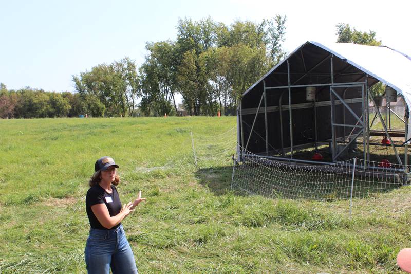 Colleen Biver talks about the shelter that is used for her pasture chickens. The shelter is moved every few days to provide fresh pasture for the chickens and to distribute the chicken manure.