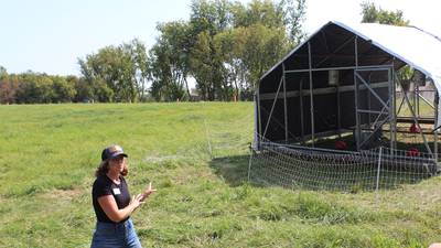 Farmers raising heritage breeds on regenerative farm