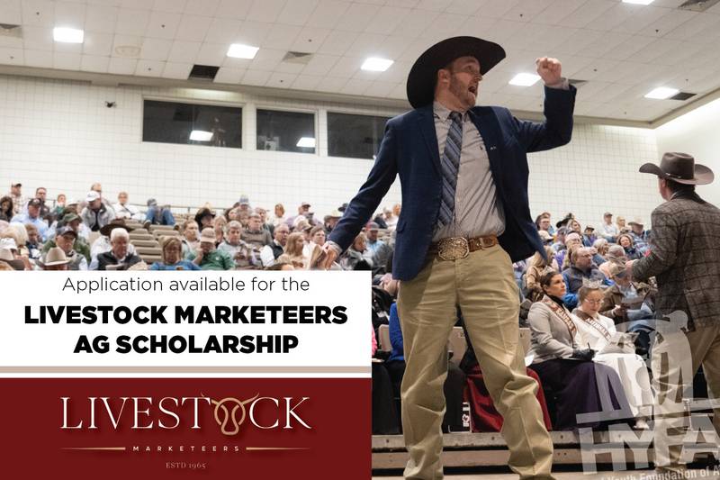 For the first time, the Livestock Marketeers Ag Scholarship will be awarded to a young person who is interested in the livestock marketing business and will be open to all college-aged students in all beef breeds or cattlemen's organizations.