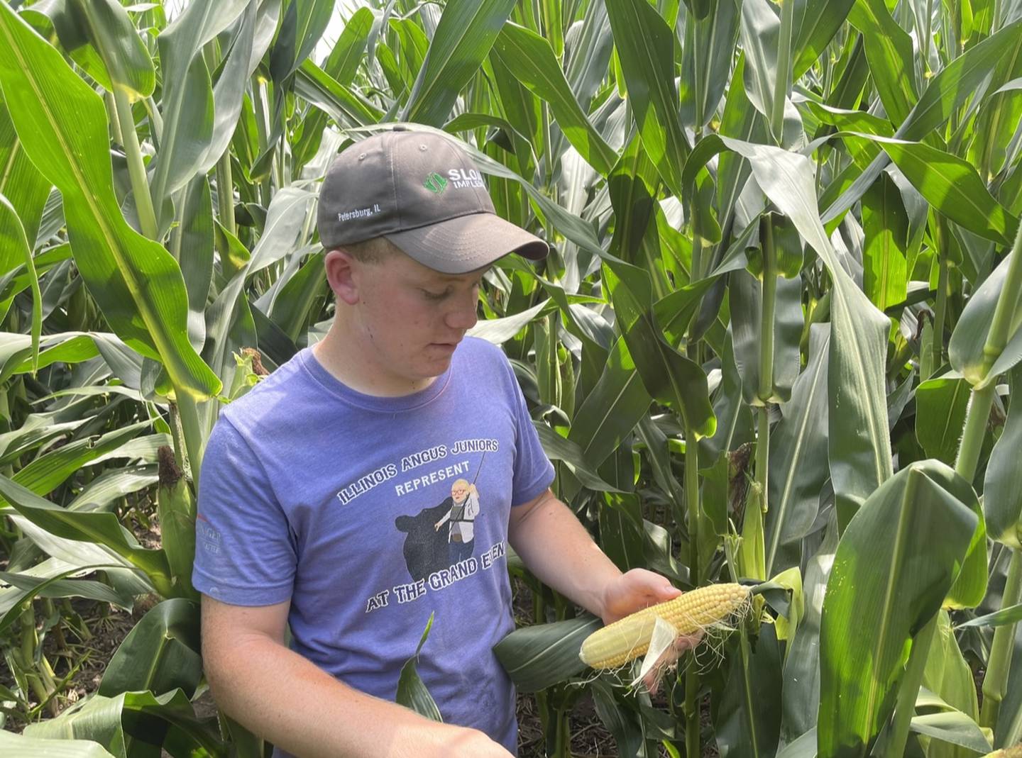 Drew Mickey checks his corn which is just one of many responsibilities he has with his projects that also include raising soybeans and wheat.