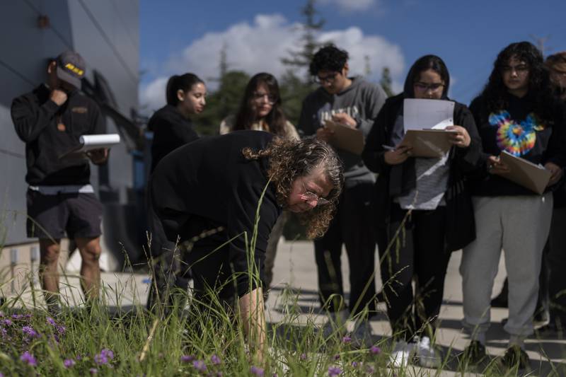 Associate professor Vered Mirmovitch leads her biology class students on a botanical tour on the West Los Angeles College campus in Culver City, California. As students consider jobs that play a role in solving the climate crisis, they’re looking for meaningful climate training and community colleges are responding.