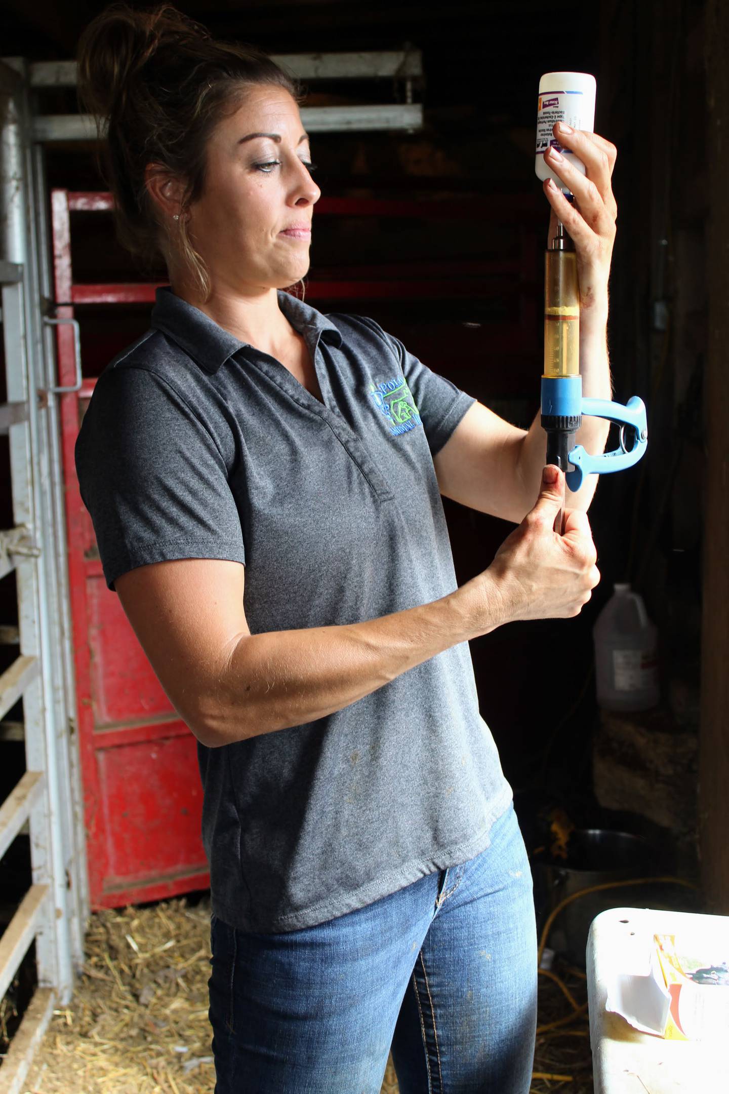 Taryn Pfieffer fills a syringe with a vaccine as she prepares to treat a group of cows and calves. In addition to vaccinations, the veterinarian also castrated the bulls calves with a Henderson castration tool, which spins the testicle and the blood vessel so there is very little bleeding.