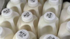There’s bird flu in U.S. dairy cows, but raw milk drinkers aren’t deterred