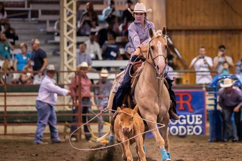 Rogue Rodeo will provide family-friendly action at the Livingston County Fair on Wednesday, July 17.