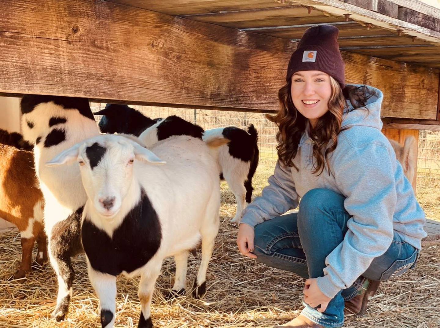 “Chillin’ With the Goats!” — Jackson Prior: “Where else would she be on Thanksgiving Day? Under the hayrack with the goats, of course! So thankful for this farm life!”