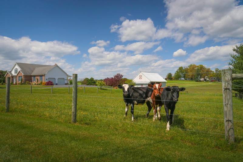 Mowing grass is a common chore for teenagers, both in the household and for hire. On farms, mowing is often the first job involving machinery that is assigned to young people.