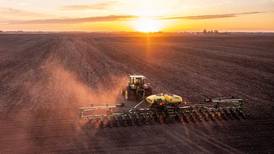 Golden Harvest rolls out top-performing seed lines for 2025