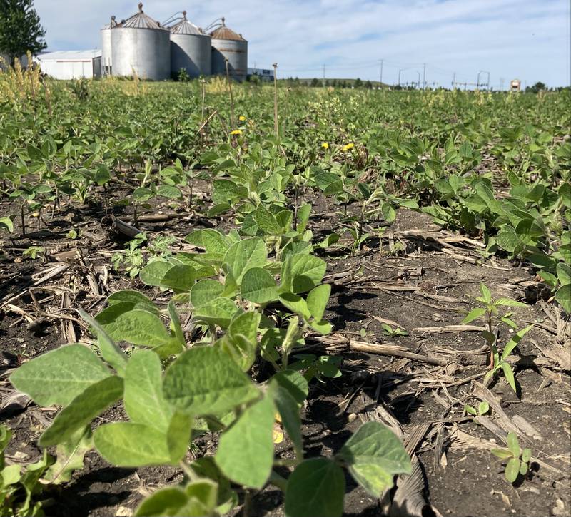 Illinois crop progress.