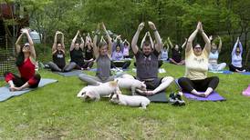 Yoga with animals a growing trend