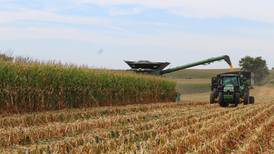 A Year in the Life of a Farmer: Dry, hot conditions impacting corn moisture levels