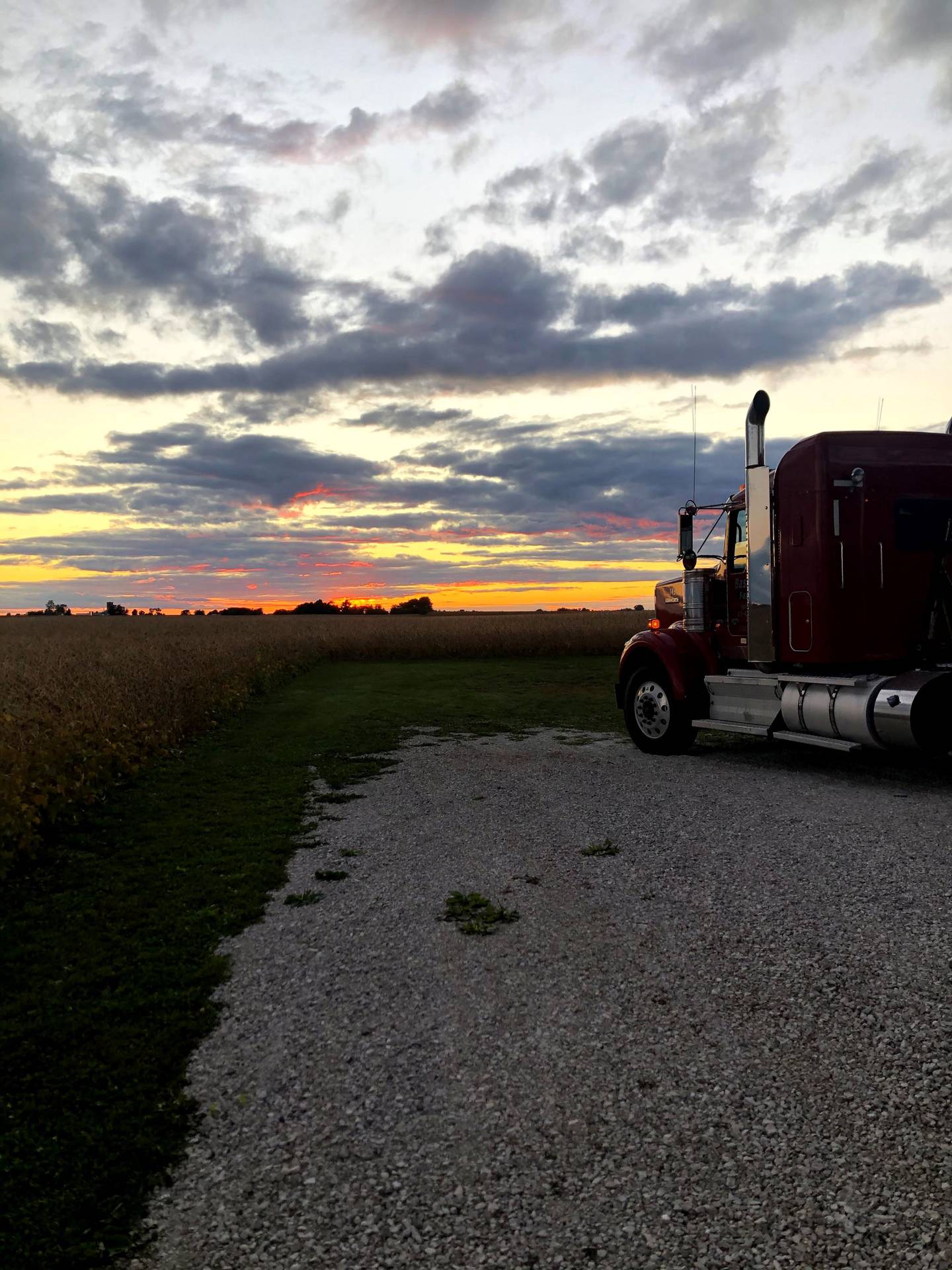 “Unloading Grain While Looking at the Sunset” — Molly Miller: “This was taken one night while unloading grain with a beautiful sunset.”