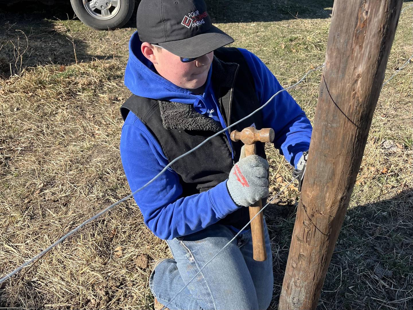 Waylon Paulek repairs a fence while working at one of three different farms. He processes calves during the calving season and prepares cattle for the showring.